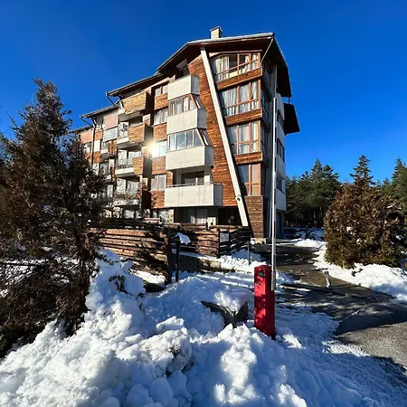 Pine Tree One Bedroom