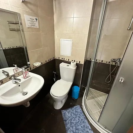 Apartment Pine Tree One Bedroom Bansko
