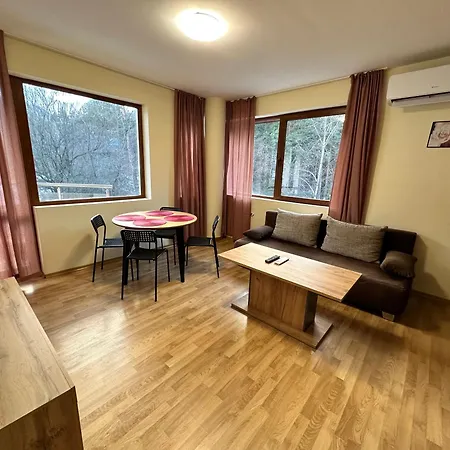 Apartment Pine Tree One Bedroom Bansko