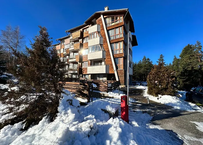 Pine Tree One Bedroom